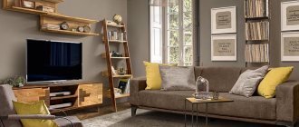 Sofa in brown tones: interior nuances, design tips, photos